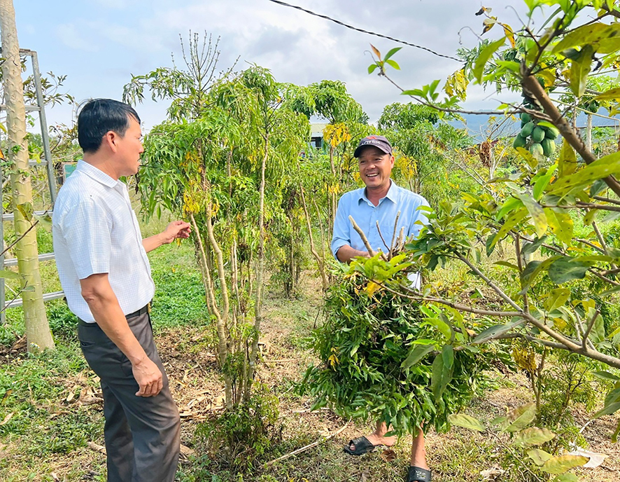 Hiệu quả từ mô hình vườn mẫu ở Tân Thành