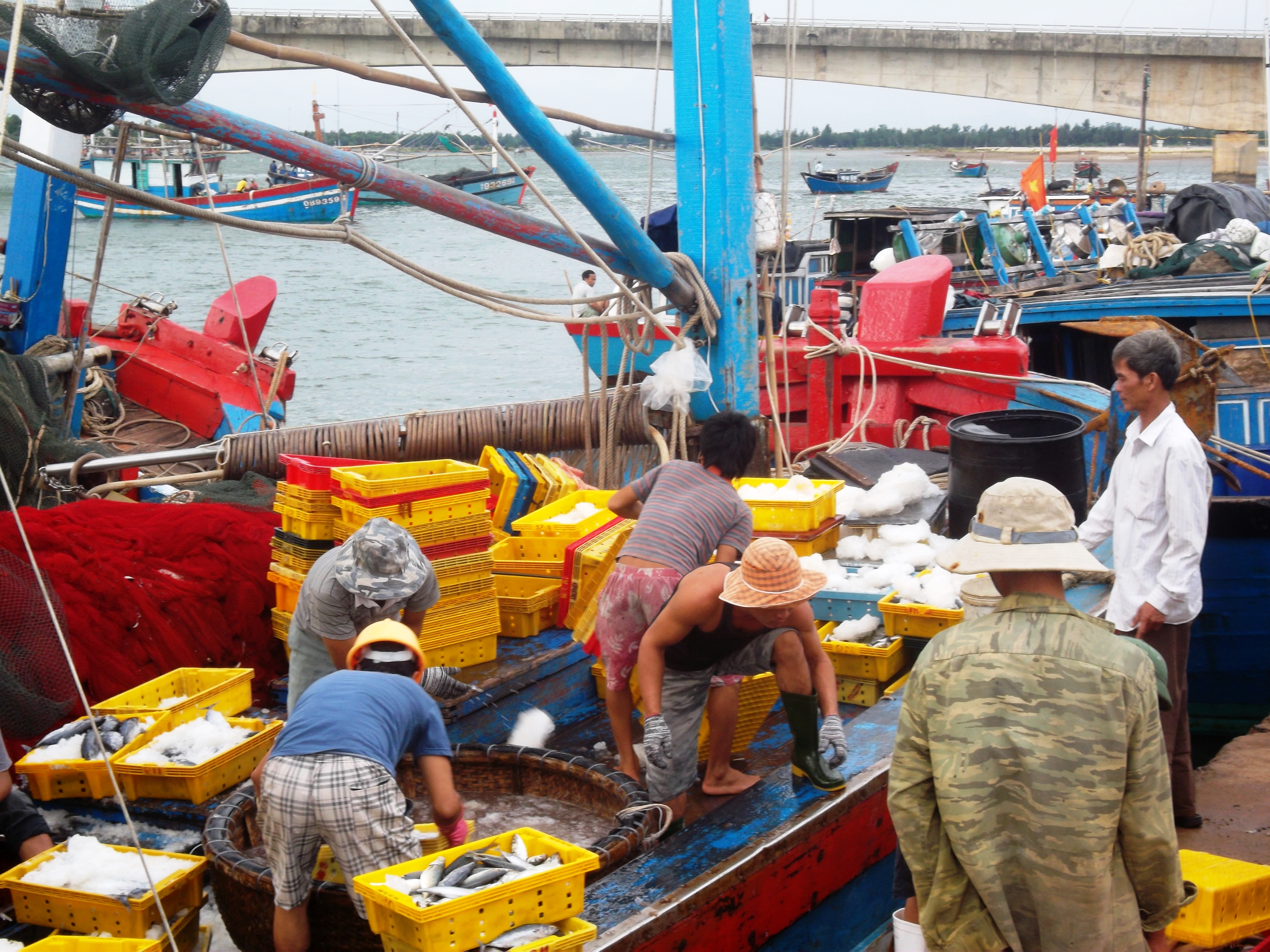 Quý I/2024: Tổng sản lượng thủy sản tăng 23,8% so với cùng kỳ năm 2023