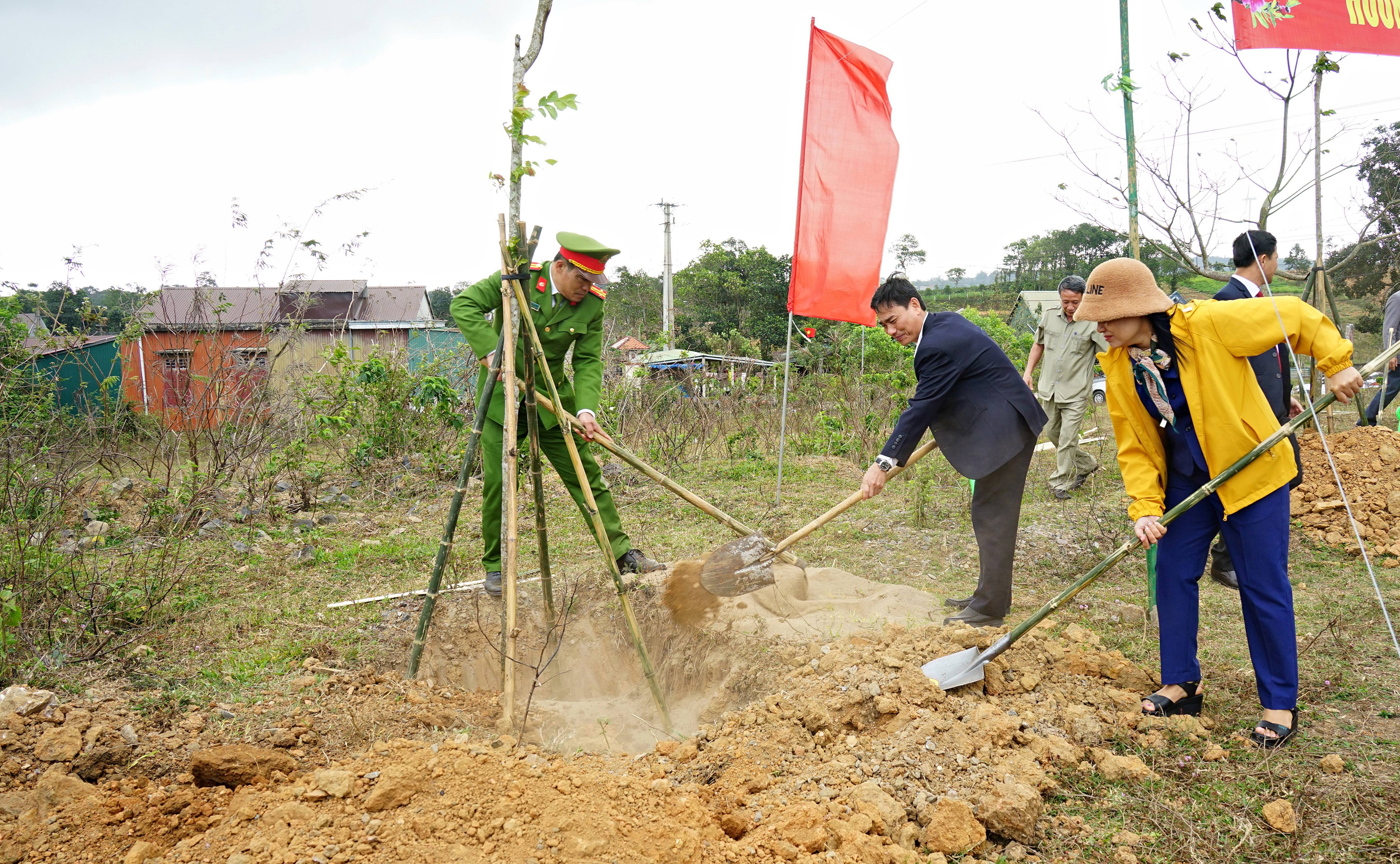 Trồng mới hơn 764 ha rừng tập trung