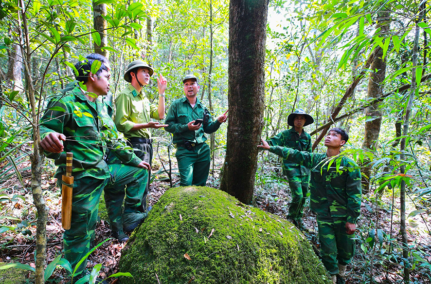 Huong Hoa se concentre sur l’inspection, la protection et le développement des forêts.