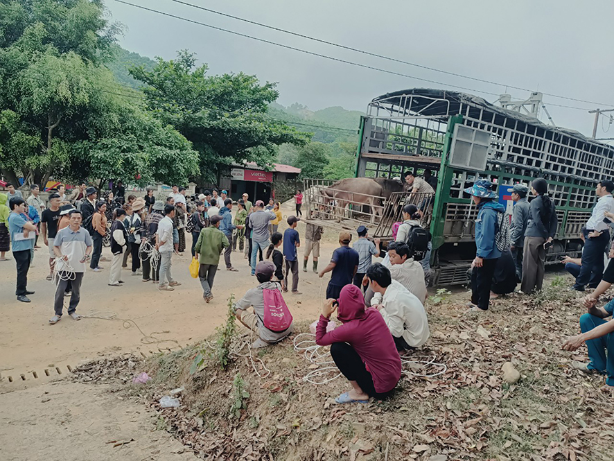 Hervorragende Ergebnisse auf dem Weg zur nachhaltigen Armutsbekämpfung in Vinh Linh