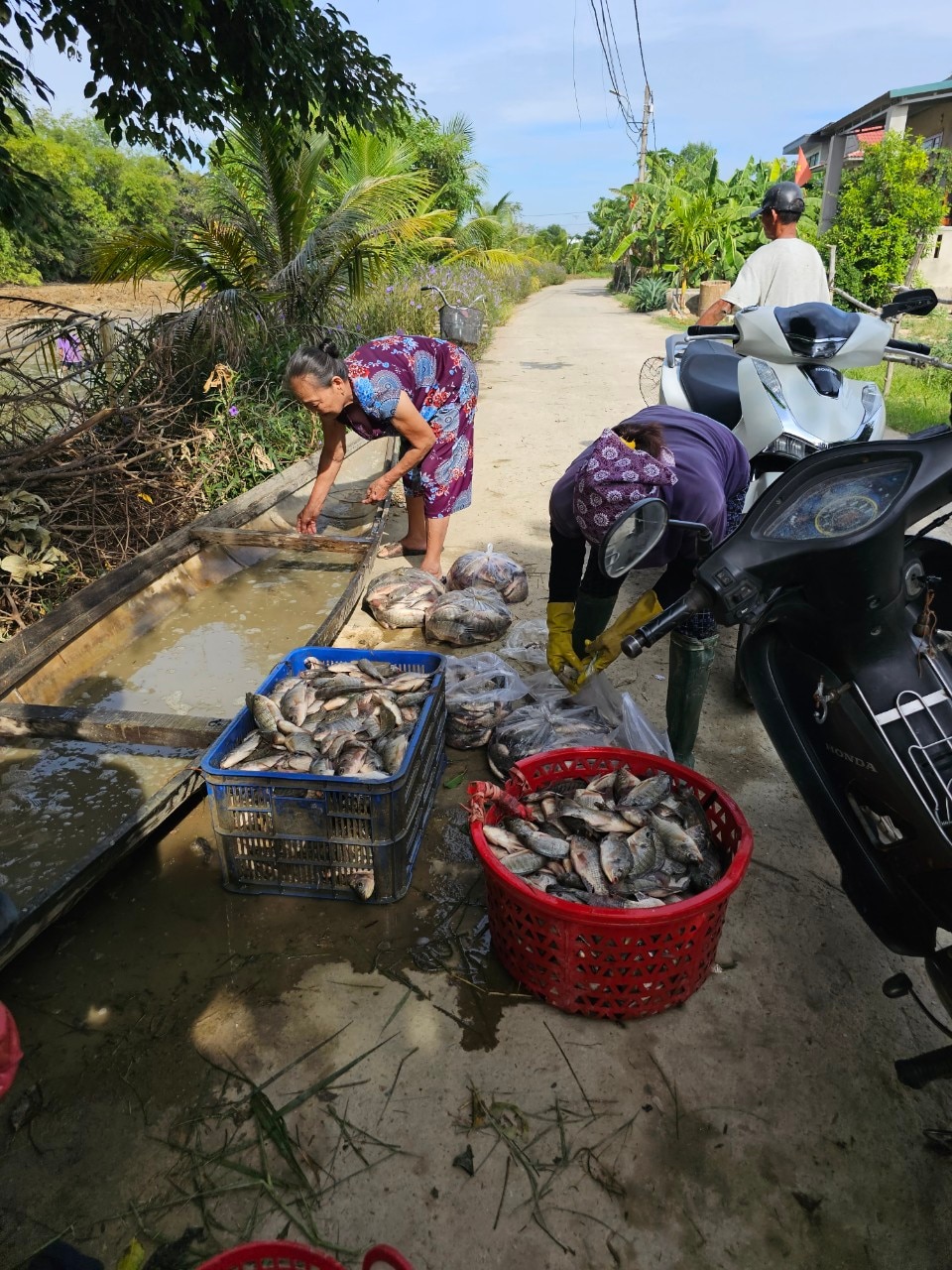 Về Thượng Nghĩa “bắt hôi”