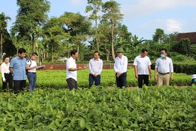 การพัฒนาระบบนิเวศสตาร์ทอัพและนวัตกรรม