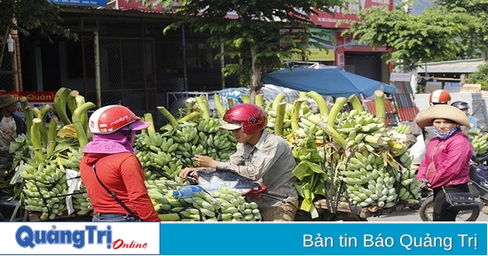 Nhiều khó khăn trong giải ngân Chương trình MTQG Phát triển KT-XH vùng đồng bào dân tộc thiểu số và miền núi ở Quảng Trị