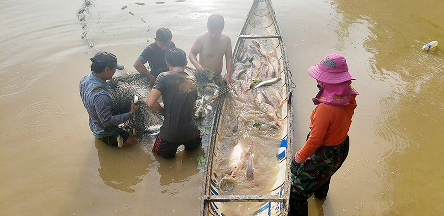 Chung sức thực hiện thắng lợi nhiệm vụ phát triển kinh tế - xã hội ở thị xã Quảng Trị