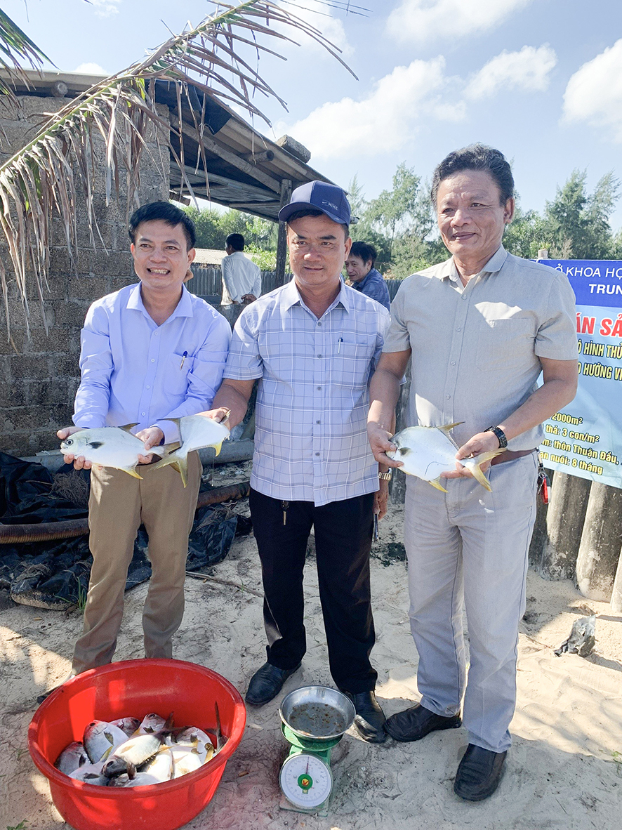 Du nhập nuôi cá chim vây vàng cho thu nhập cao