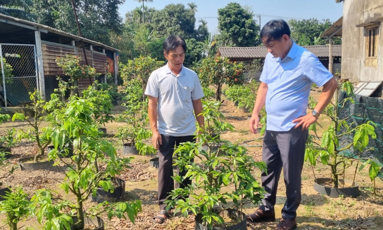 Thị xã Quảng Trị: Hỗ trợ kinh phí đối với thôn, khu dân cư và vườn hộ gia đình đạt chuẩn nông thôn mới kiểu mẫu