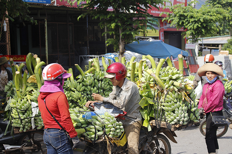 Nhiều khó khăn trong giải ngân Chương trình MTQG Phát triển KT-XH vùng đồng bào dân tộc thiểu số và miền núi ở Quảng Trị