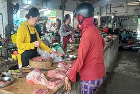 Trieu Phong fördert die Viehzucht zur Rohstoffproduktion