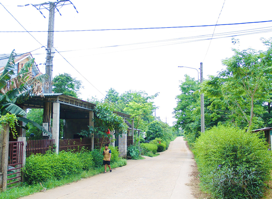 Determined to bring Linh Truong commune to new rural standards