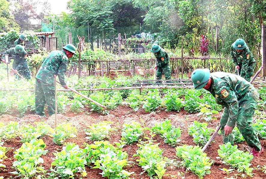 Tích cực tăng gia, sản xuất nơi vùng cát trắng