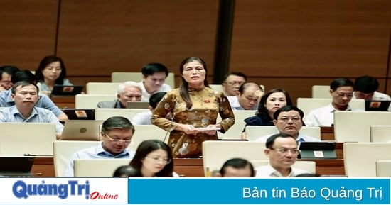 Ho Thi Minh, Delegierte der Nationalversammlung der Provinz Quang Tri, befragte den Minister für natürliche Ressourcen und Umwelt.