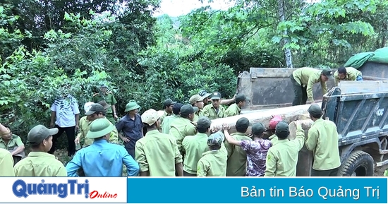 Vinh Linh promeut une coordination efficace dans la gestion et la protection des forêts