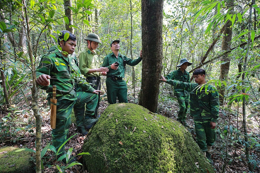 Kiểm lâm Quảng Trị - 50 năm hình thành và phát triển