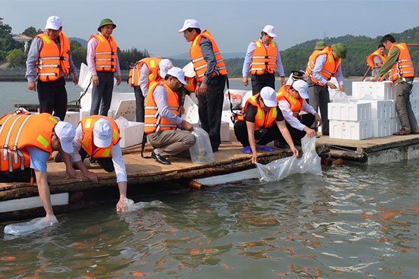 Đề xuất điều chỉnh thời gian thực hiện và giải ngân nguồn vốn dự án “Phục hồi, tái tạo hệ sinh thái thủy sinh và nguồn lợi thủy sản” đến hết ngày 31/12/2025