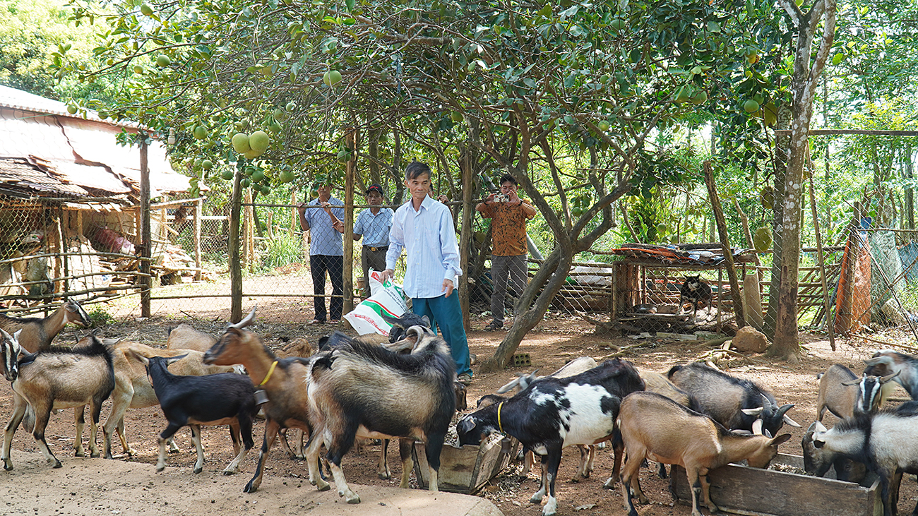 Hội Cựu chiến binh Cam Lộ xóa hết hộ nghèo trong hội viên