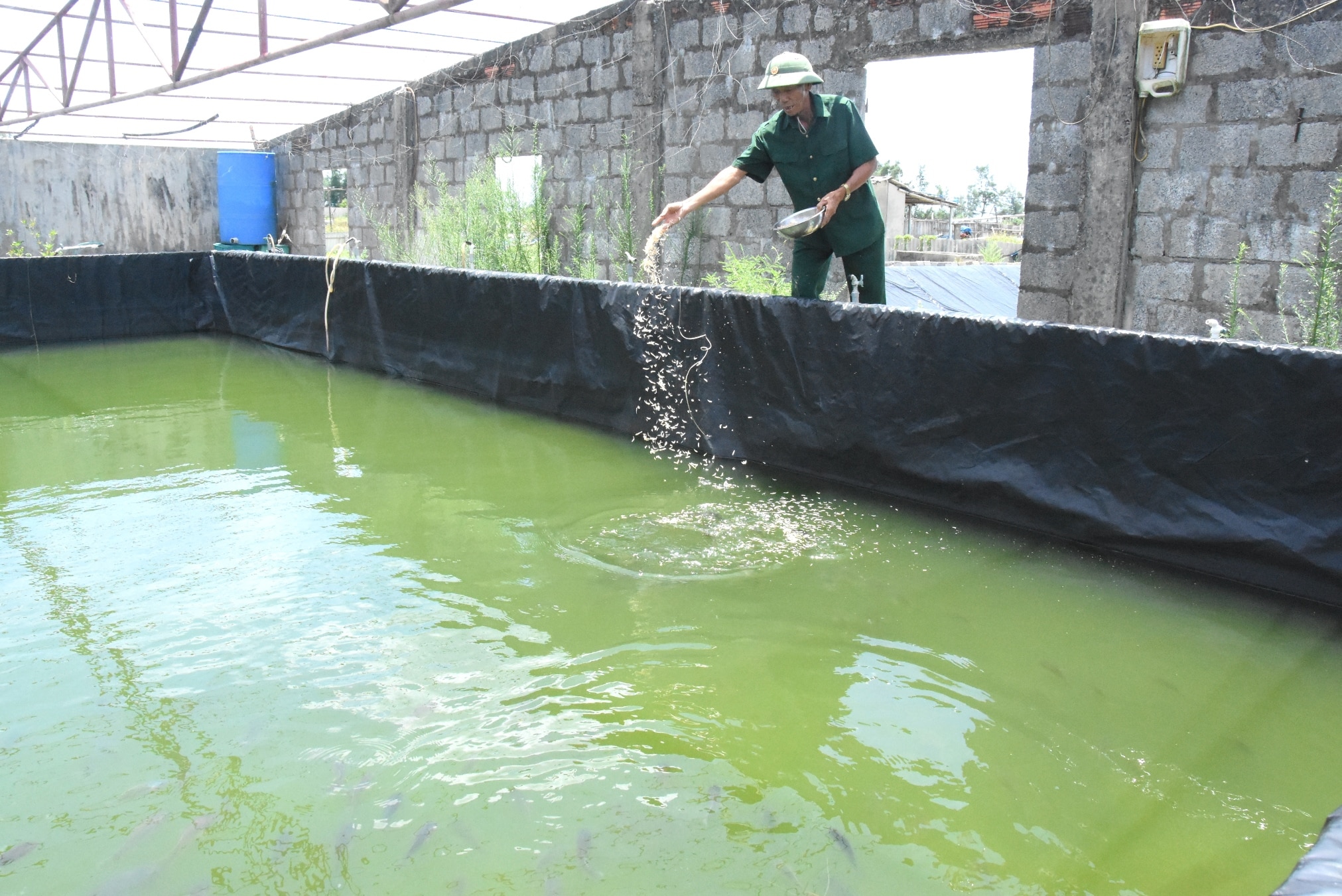 Những cựu chiến binh làm kinh tế giỏi