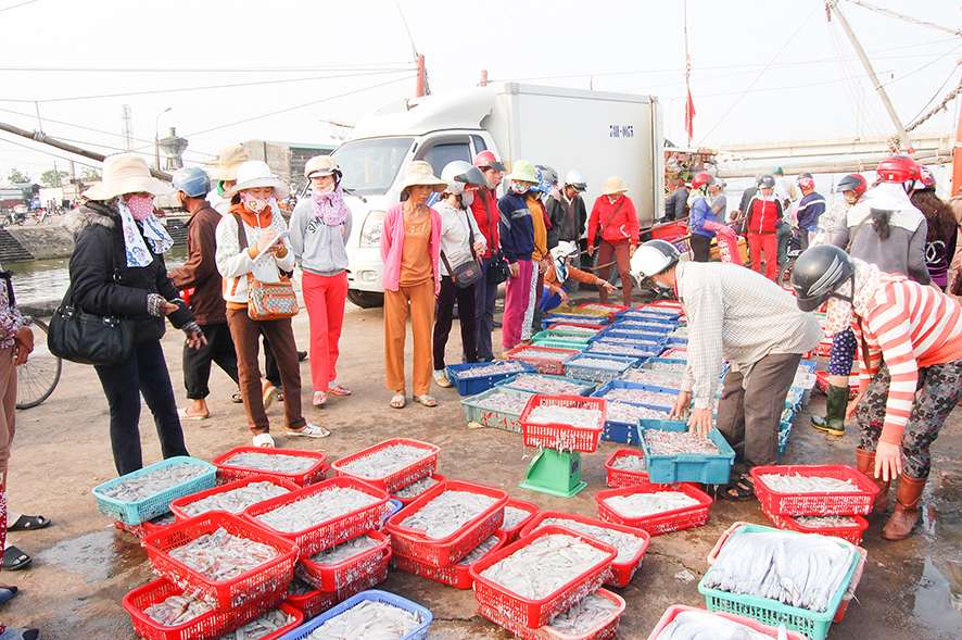 Gỡ “thẻ vàng” IUU để phát triển ngành thủy sản bền vững