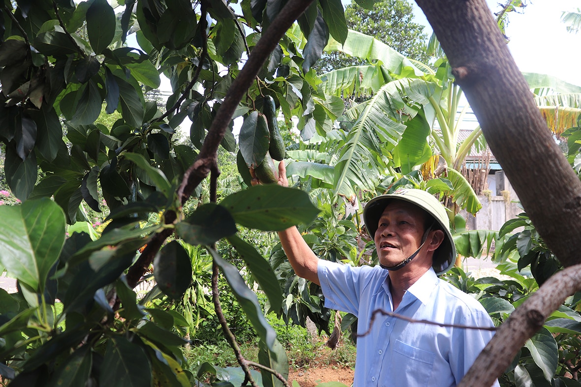 Trưởng thôn gương mẫu, làm kinh tế giỏi