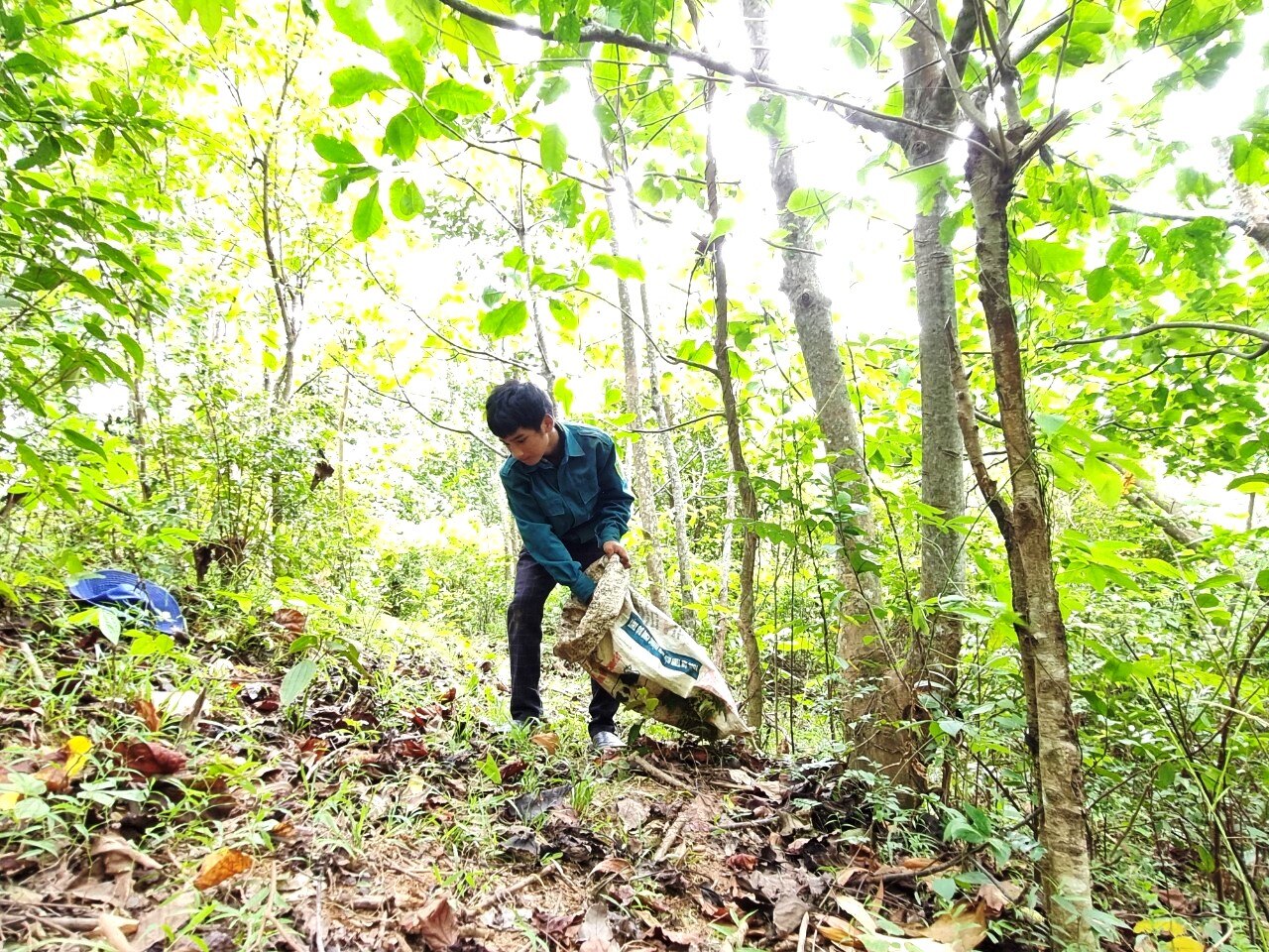 Mùa nhặt hạt trẩu