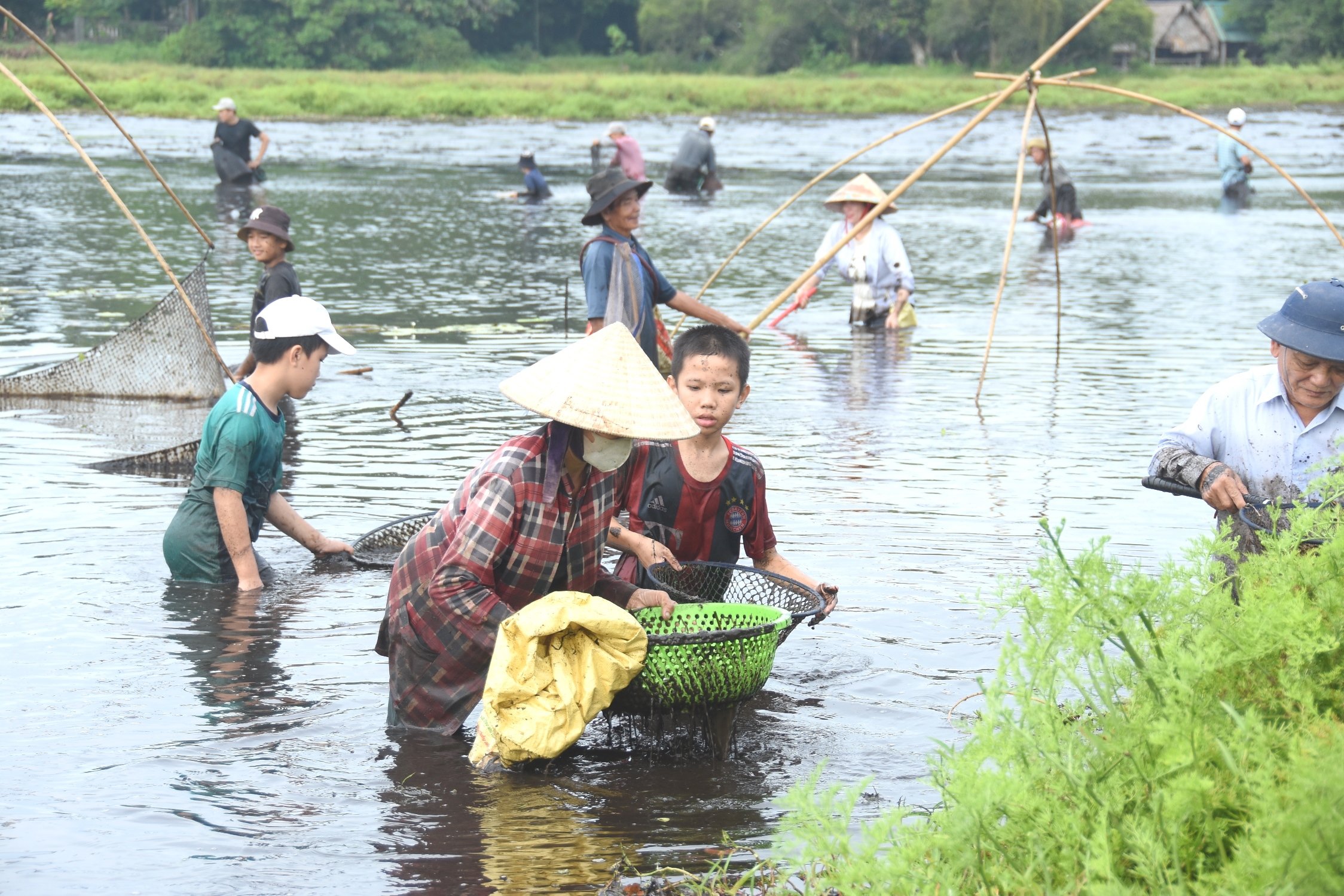 Sôi nổi, vui tươi lễ hội “phá Trằm” Trà Lộc năm 2024