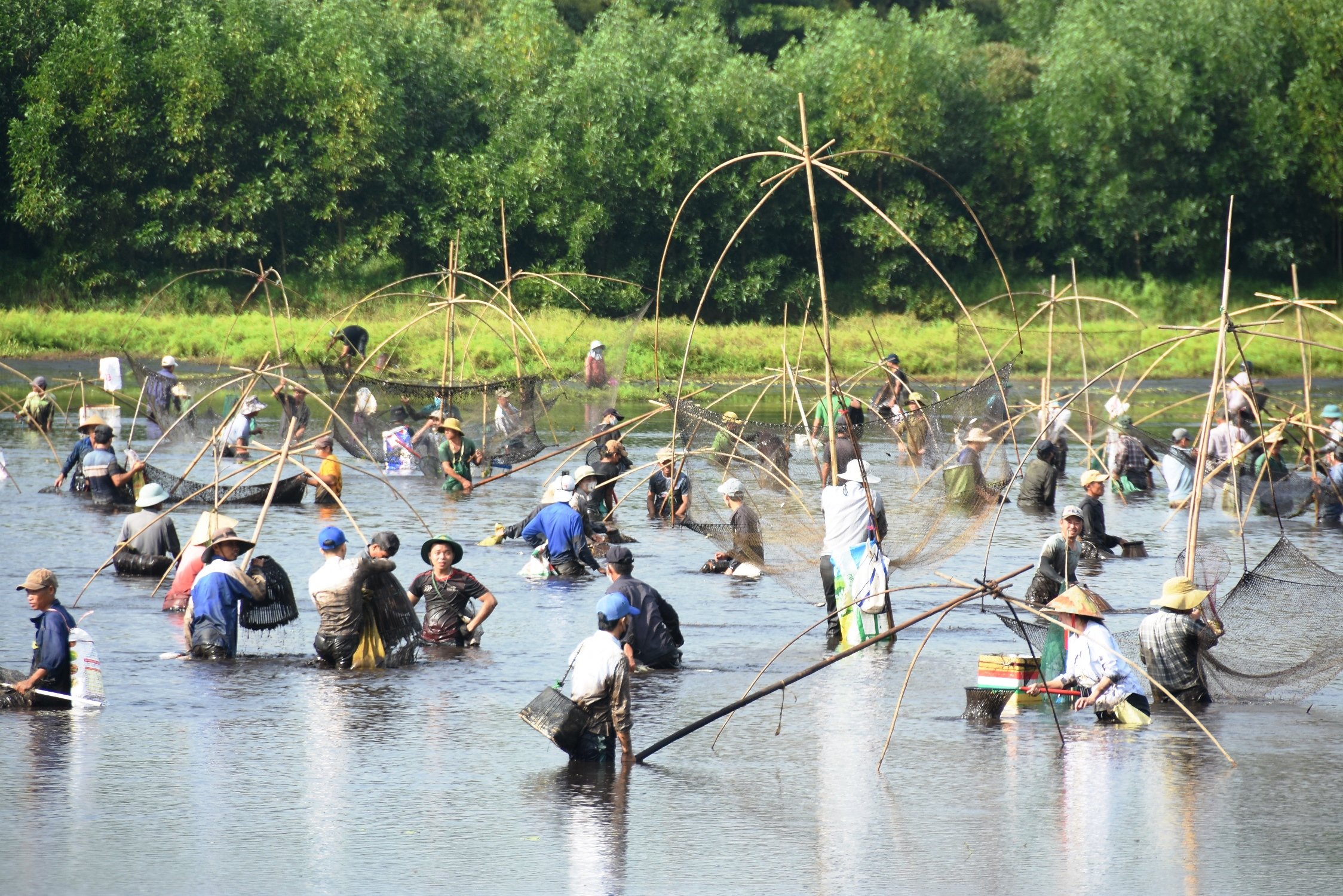 Sôi nổi, vui tươi lễ hội “phá Trằm” Trà Lộc năm 2024