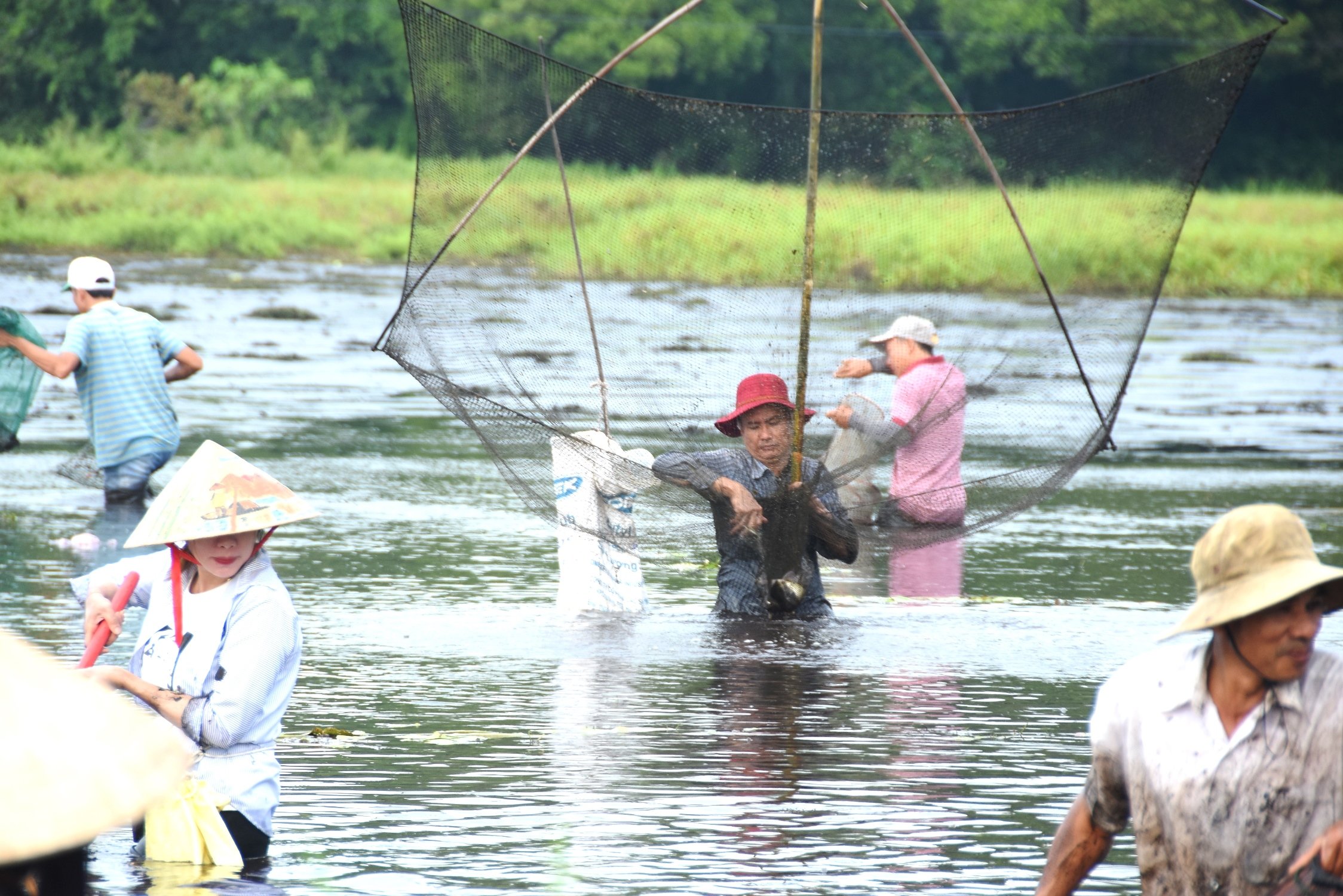 Sôi nổi, vui tươi lễ hội “phá Trằm” Trà Lộc năm 2024