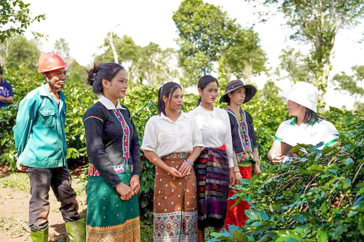 សេដ្ឋកិច្ចសមូហភាពរួមចំណែកដល់ការកាត់បន្ថយភាពក្រីក្រប្រកបដោយនិរន្តរភាពនៅ Huong Hoa