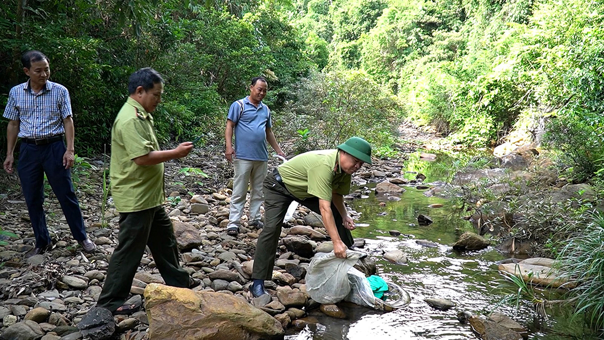 Efforts to conserve biodiversity