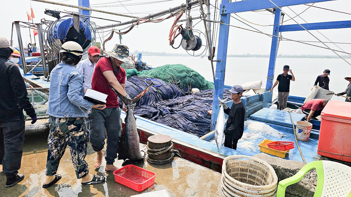 Vươn khơi bám biển, giữ vững ngư trường