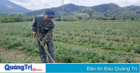 Biến đồi hoang thành nơi có của ăn của để