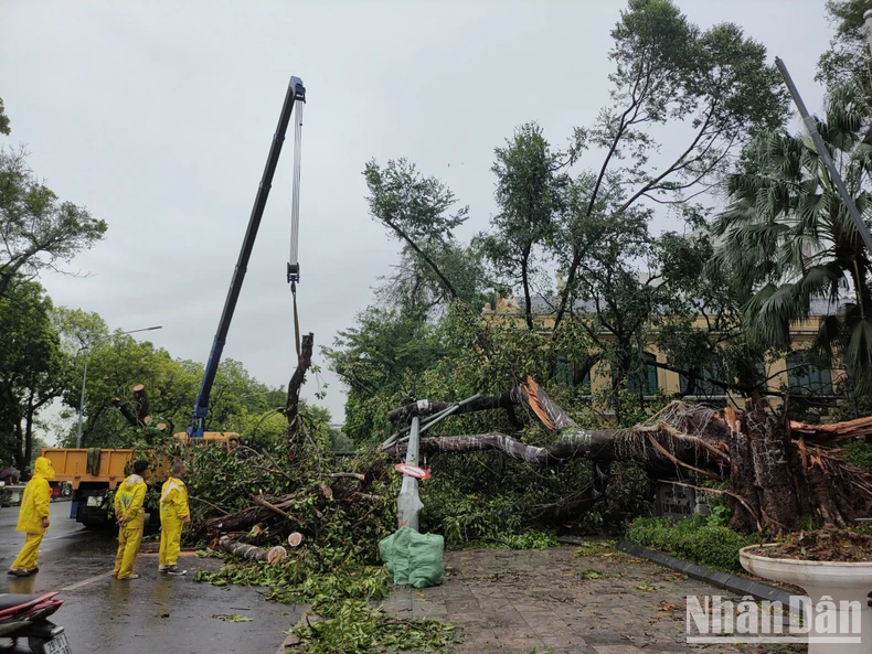 [Live] Khẩn trương khắc phục hậu quả, cứu người mắc kẹt, mất tích trong bão số 3 ảnh 9