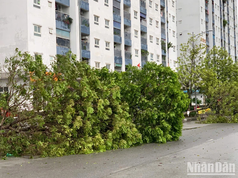 [Live] Khẩn trương khắc phục hậu quả, cứu người mắc kẹt, mất tích trong bão số 3 ảnh 25