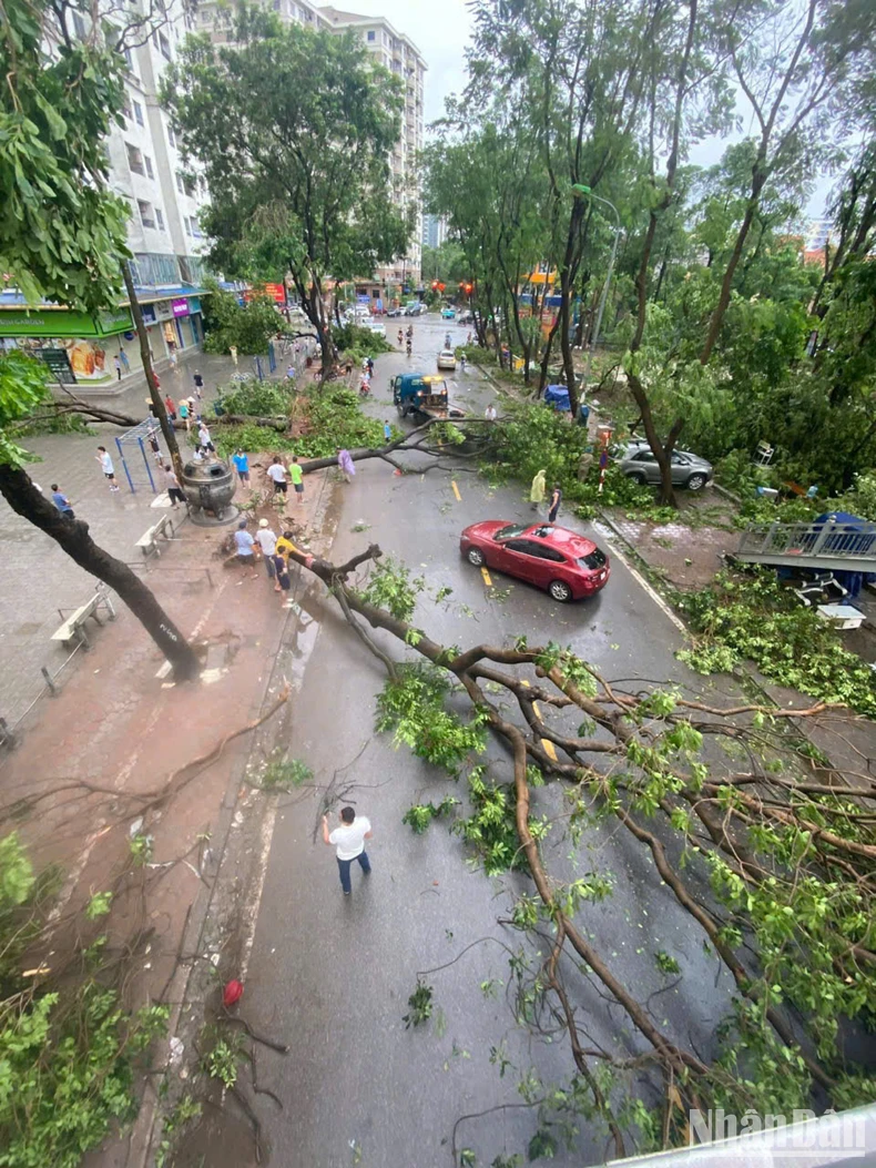 [Live] Khẩn trương khắc phục hậu quả, cứu người mắc kẹt, mất tích trong bão số 3 ảnh 16