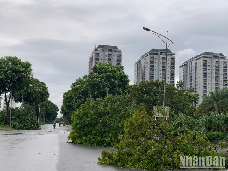 [Live] Khẩn trương khắc phục hậu quả, cứu người mắc kẹt, mất tích trong bão số 3 ảnh 19