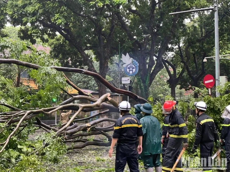 [Live] Khẩn trương khắc phục hậu quả, cứu người mắc kẹt, mất tích trong bão số 3 ảnh 23