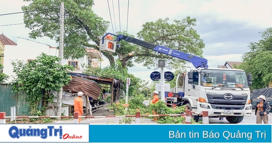 PC Quảng Trị chú trọng bảo vệ hành lang an toàn lưới điện