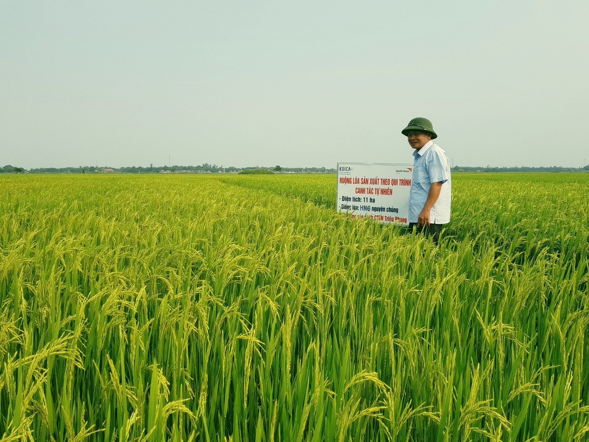 Chưa có bước đột phá để nhân rộng các mô hình nông nghiệp hữu cơ, công nghệ cao