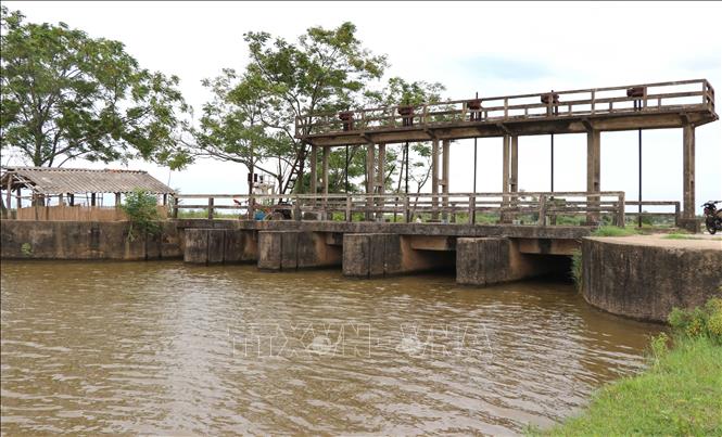 Hỗ trợ trên 1,69 tỉ đồng cho thủy lợi nhỏ, thủy lợi nội đồng và tưới tiên tiến, tiết kiệm nước