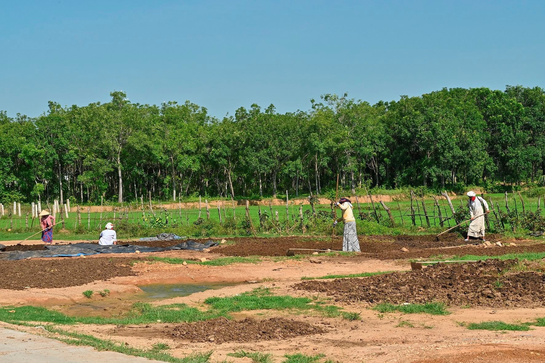 Đakông: Không còn quỹ đất để hỗ trợ đất ở, đất sản xuất cho người dân