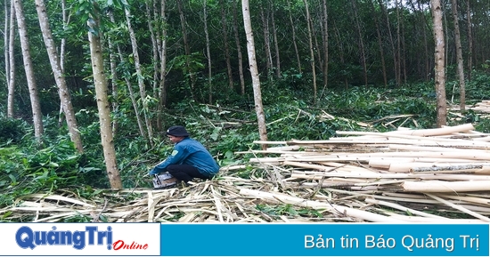 Tăng cường cung cấp thông tin, đẩy mạnh tuyên truyền đối với cộng đồng để bảo vệ rừng