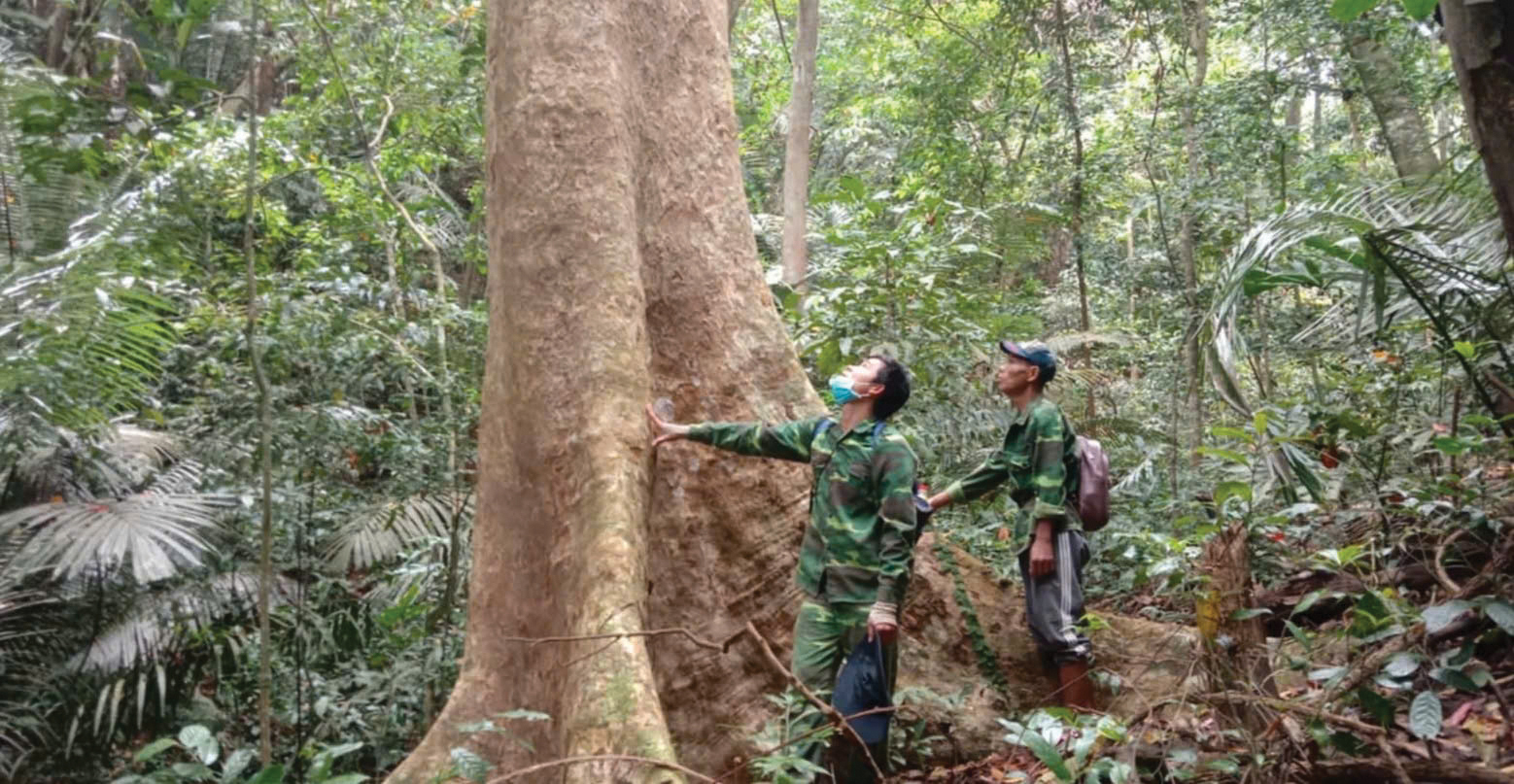 Lợi ích kép từ việc chi trả dịch vụ môi trường rừng