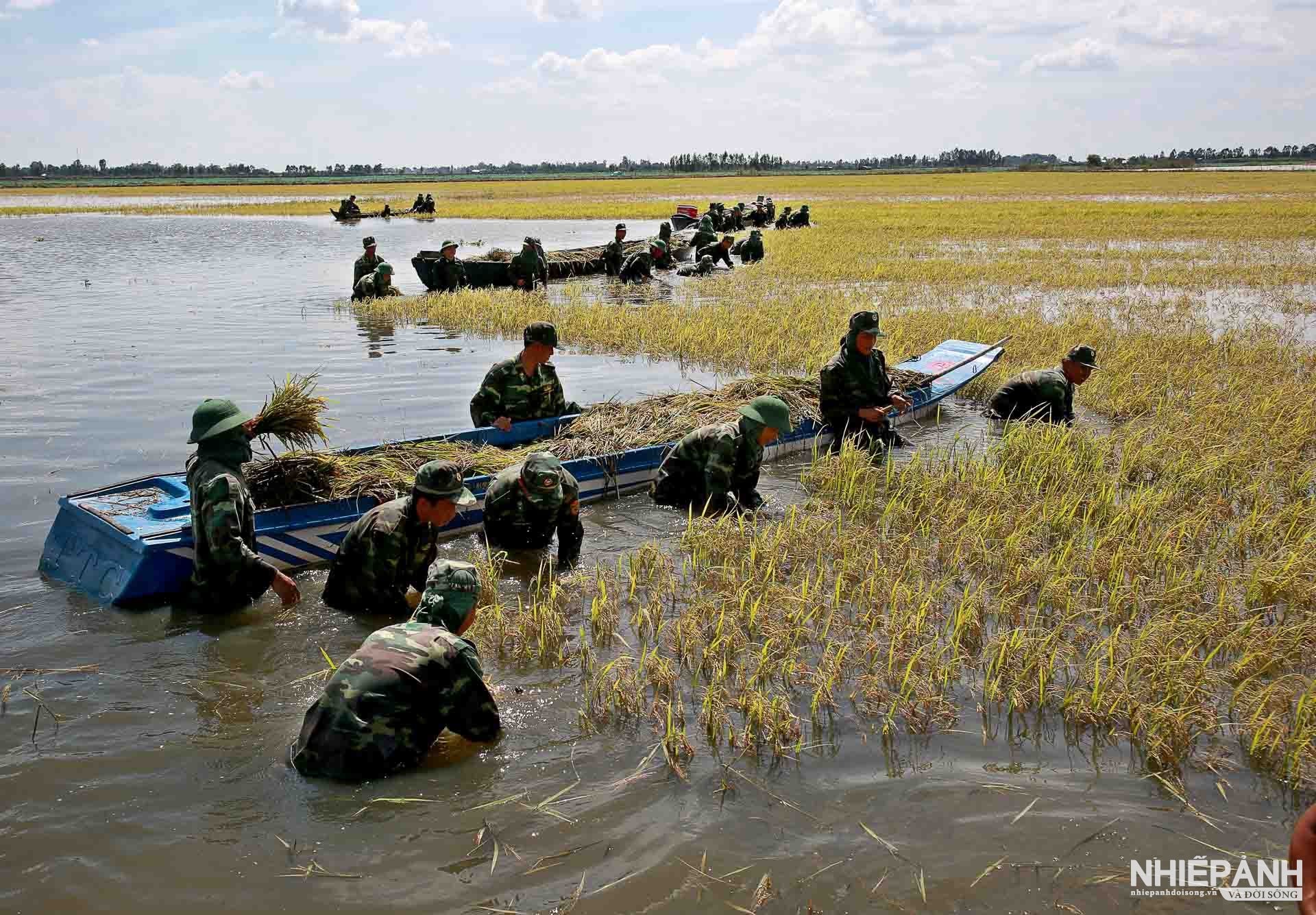 W_4-giai-nhi-duong-hoang-hanh-long-an-tinh-quan-dan-trong-mua-lu.jpg