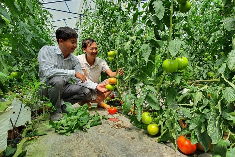 Dựa trên đặc thù của địa phương, huyện Đam Rông cũng đặc biệt quan tâm phát triển nguồn nhân lực trong lĩnh vực nông nghiệp.