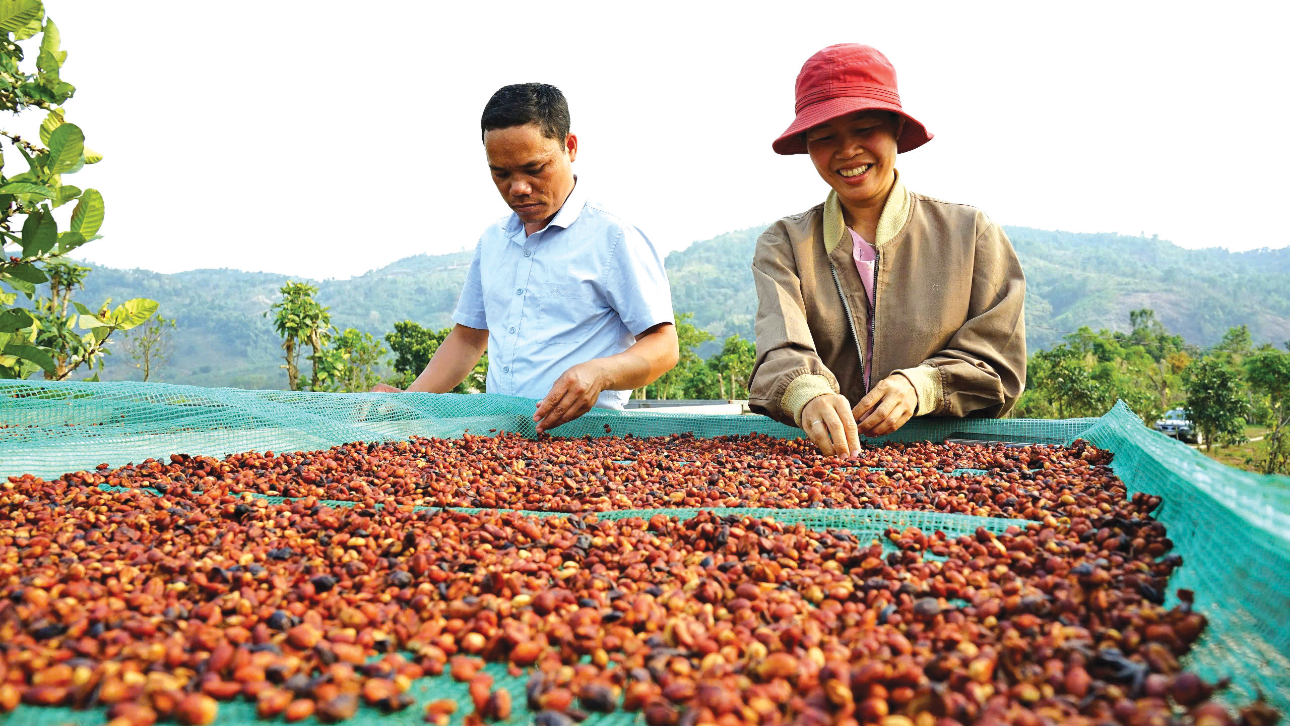 Chú trọng hỗ trợ xây dựng sản phẩm đặc trưng vùng đồng bào dân tộc thiểu số và miền núi tỉnh Quảng Trị