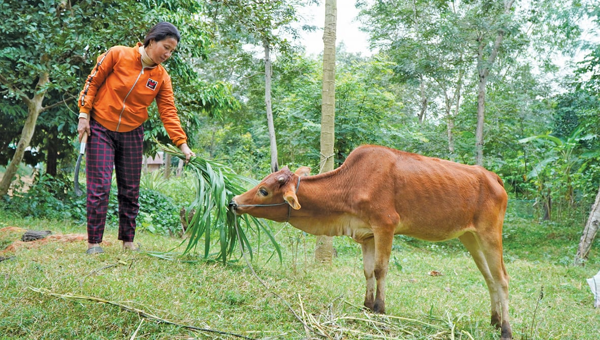 Đồng hành để phụ nữ biên cương vươn lên