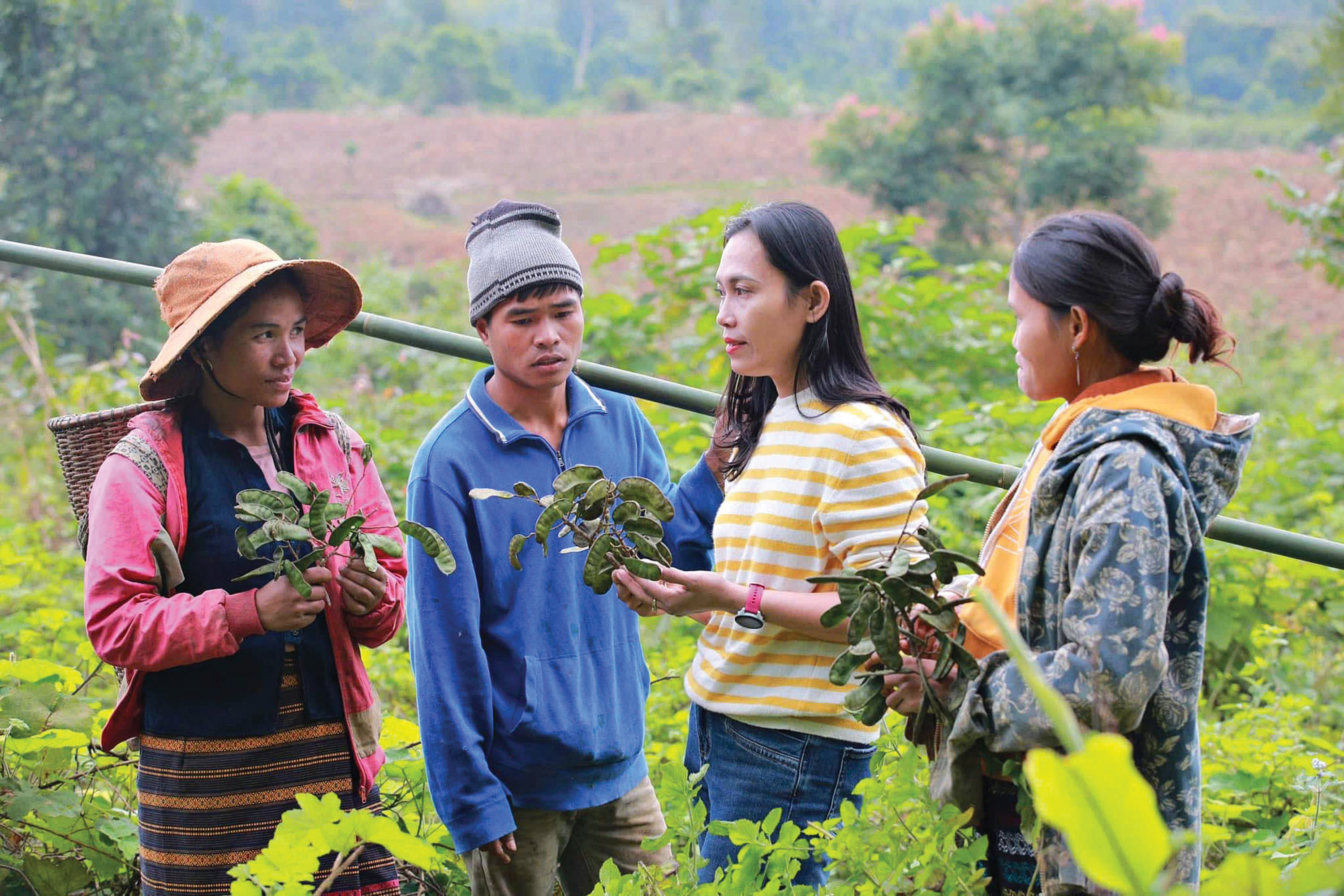 Kể chuyện sản phẩm OCOP