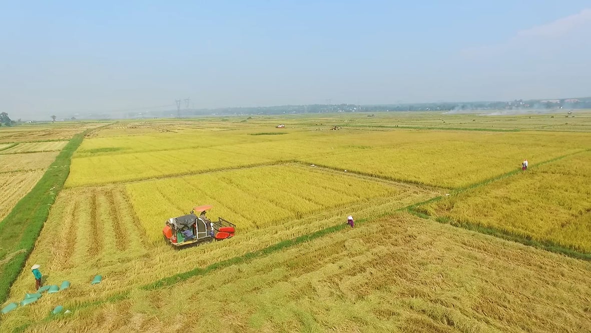 Những gam màu sáng trong bức tranh kinh tế - xã hội huyện Hải Lăng