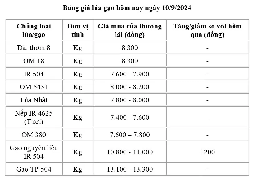 Giá lúa gạo hôm nay 10/9/2024: