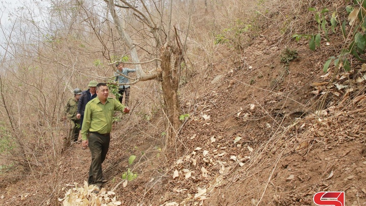 Waldbrände aktiv verhindern und bekämpfen